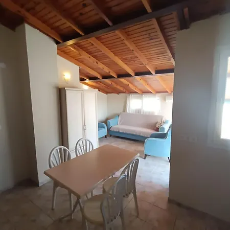 鸽子公寓式酒店