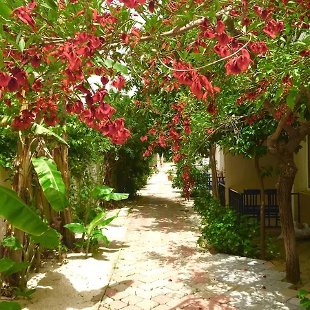 鸽子公寓式酒店 4* 费特希耶