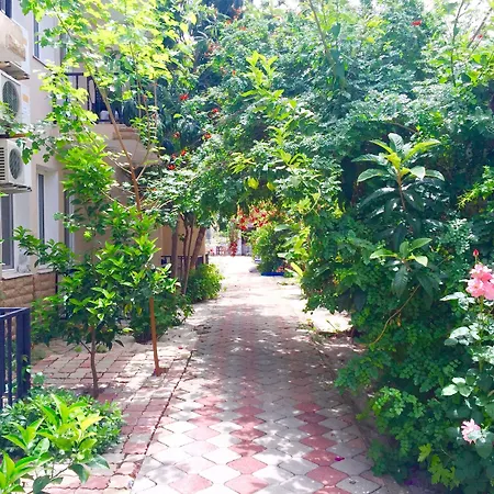 鸽子公寓式酒店 公寓式酒店