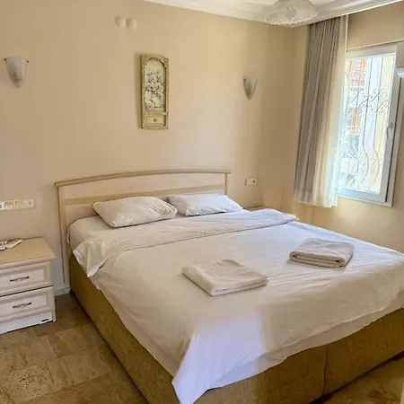 Dove 4*