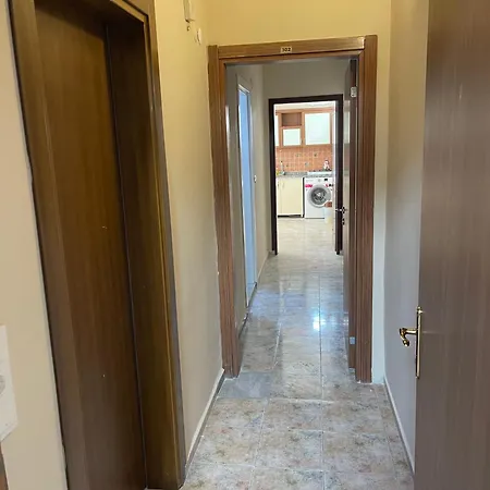 Dove 4*